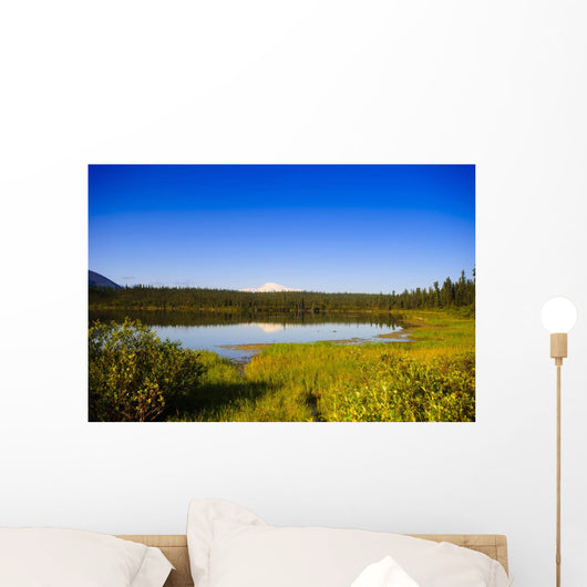 Mount Sanford Reflecting Twin Wall Decal