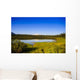 Mount Sanford Reflecting Twin Wall Decal