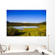 Mount Sanford Reflecting Twin Wall Decal
