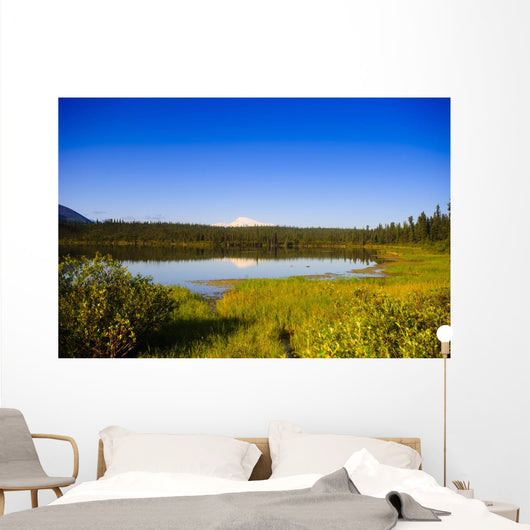 Mount Sanford Reflecting Twin Wall Decal