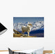 Young Dall Sheep Ram Wall Decal