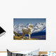 Young Dall Sheep Ram Wall Decal