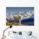 Young Dall Sheep Ram Wall Decal