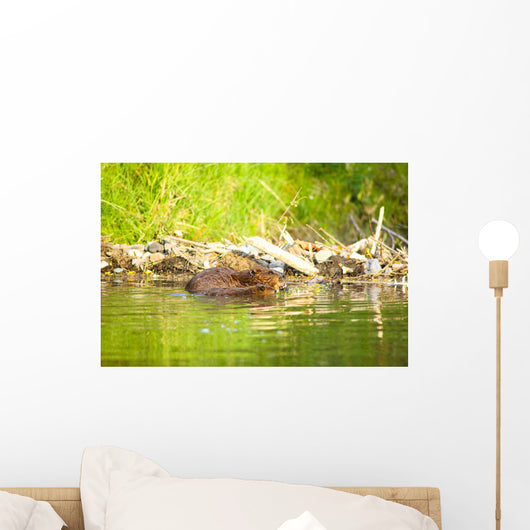 Beaver and Baby Feed Wall Decal