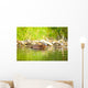 Beaver and Baby Feed Wall Decal