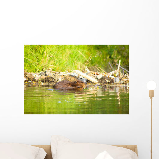 Beaver and Baby Feed Wall Decal