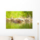 Beaver and Baby Feed Wall Decal