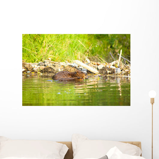 Beaver and Baby Feed Wall Decal