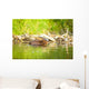 Beaver and Baby Feed Wall Decal