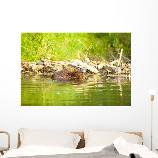 Beaver and Baby Feed Wall Decal