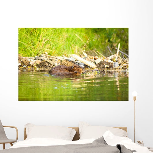 Beaver and Baby Feed Wall Decal