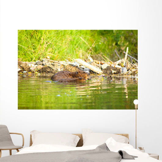 Beaver and Baby Feed Wall Decal