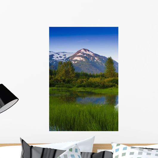 Scenic Small Stream Portage Wall Decal