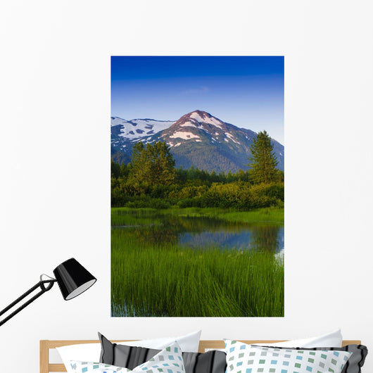 Scenic Small Stream Portage Wall Decal