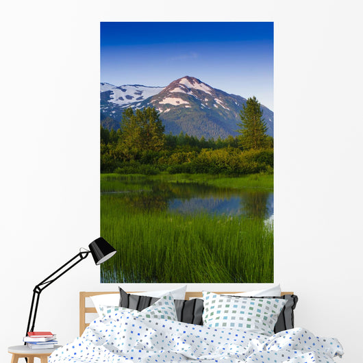 Scenic Small Stream Portage Wall Decal