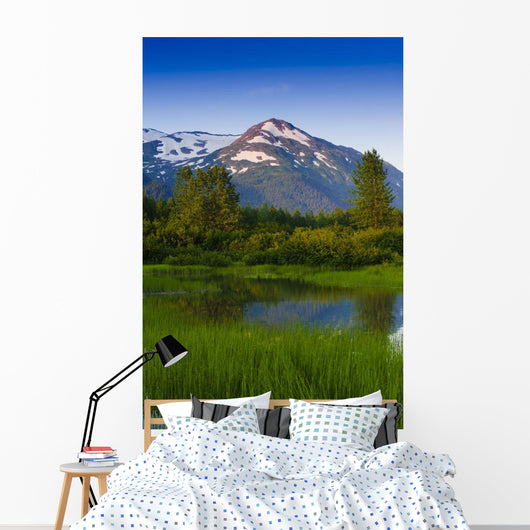Scenic Small Stream Portage Wall Decal