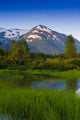 Scenic Small Stream Portage Wall Decal