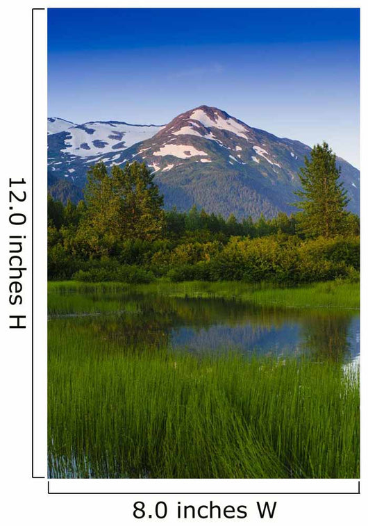 Scenic Small Stream Portage Wall Decal