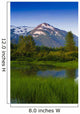 Scenic Small Stream Portage Wall Decal