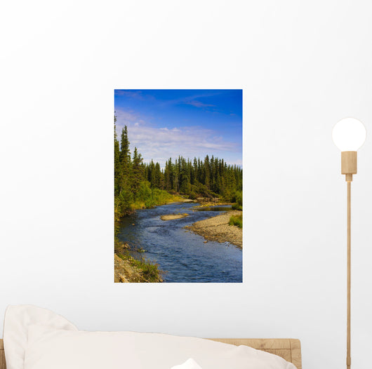 Jack Creek near Nabesna Wall Decal