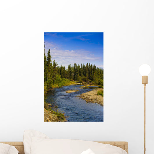 Jack Creek near Nabesna Wall Decal