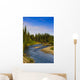 Jack Creek near Nabesna Wall Decal