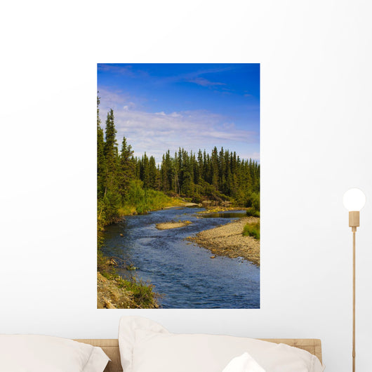 Jack Creek near Nabesna Wall Decal