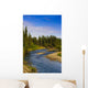 Jack Creek near Nabesna Wall Decal