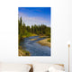 Jack Creek near Nabesna Wall Decal