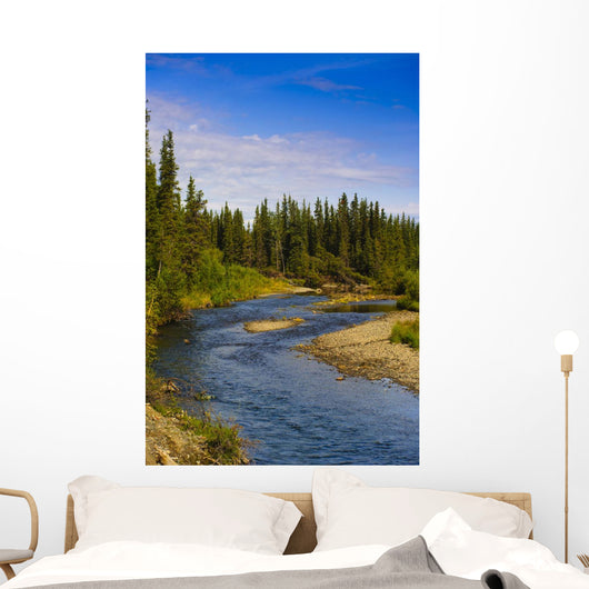 Jack Creek near Nabesna Wall Decal
