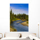 Jack Creek near Nabesna Wall Decal