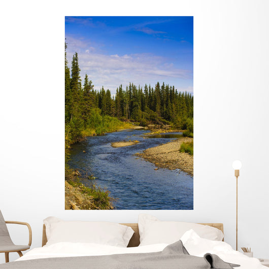 Jack Creek near Nabesna Wall Decal