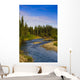 Jack Creek near Nabesna Wall Decal