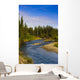 Jack Creek near Nabesna Wall Decal