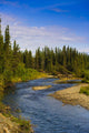 Jack Creek near Nabesna Wall Decal