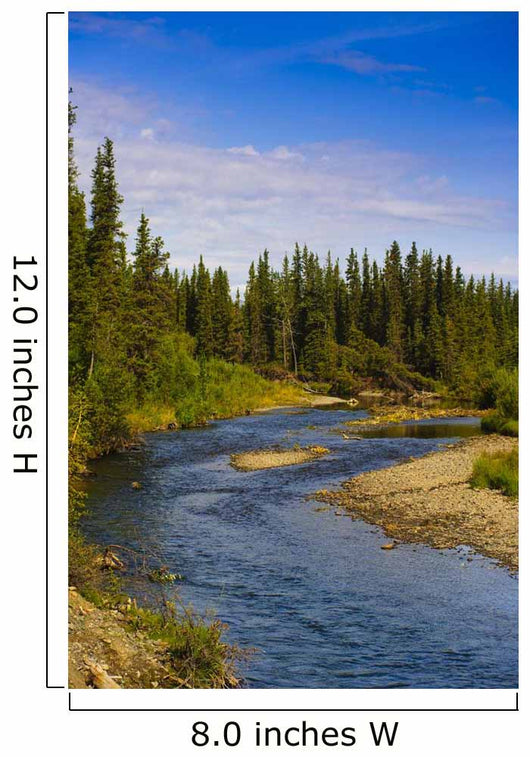 Jack Creek near Nabesna Wall Decal