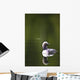Up Pacific Loon Swimming Wall Decal