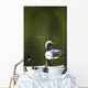 Up Pacific Loon Swimming Wall Decal