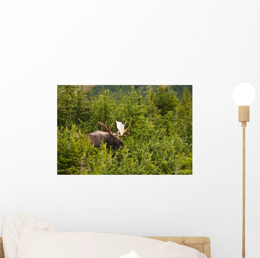 Bull Moose Rut Standing Wall Decal Design 2