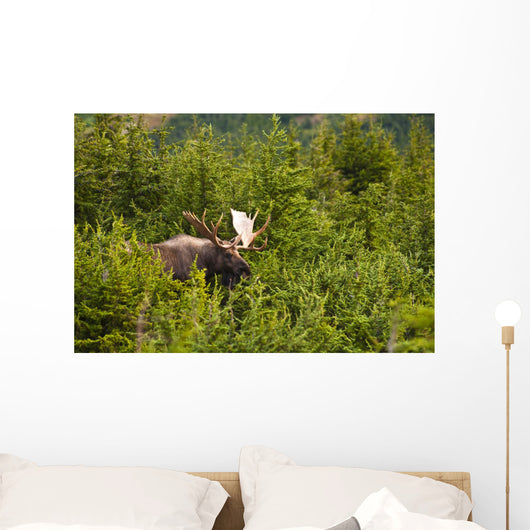 Bull Moose Rut Standing Wall Decal Design 2