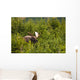 Bull Moose Rut Standing Wall Decal Design 2