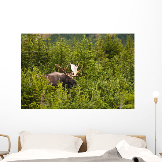 Bull Moose Rut Standing Wall Decal Design 2