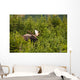 Bull Moose Rut Standing Wall Decal Design 2