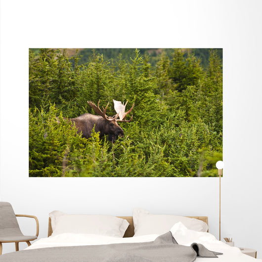 Bull Moose Rut Standing Wall Decal Design 2