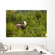 Bull Moose Rut Standing Wall Decal Design 2