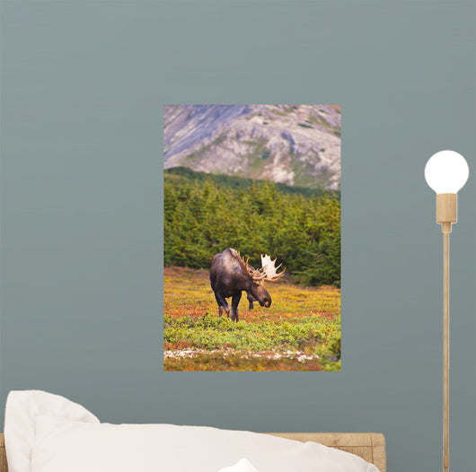 Bull Moose Rut Standing Wall Decal Design 1