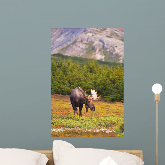 Bull Moose Rut Standing Wall Decal Design 1