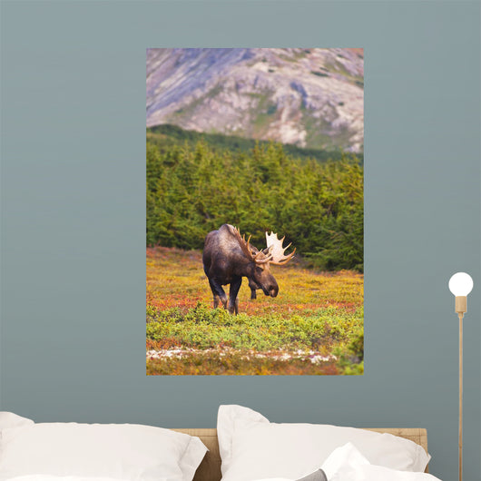 Bull Moose Rut Standing Wall Decal Design 1