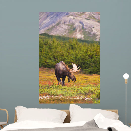 Bull Moose Rut Standing Wall Decal Design 1