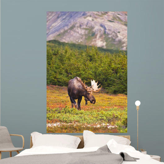 Bull Moose Rut Standing Wall Decal Design 1